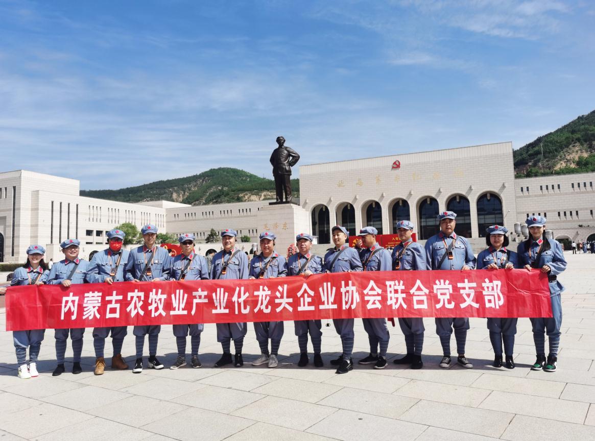 內(nèi)蒙古農(nóng)牧業(yè)產(chǎn)業(yè)化龍頭企業(yè)協(xié)會(huì)聯(lián)合黨支部赴延安革命圣地開展“學(xué)黨史、感黨恩、跟黨走”主題黨日活動(dòng)