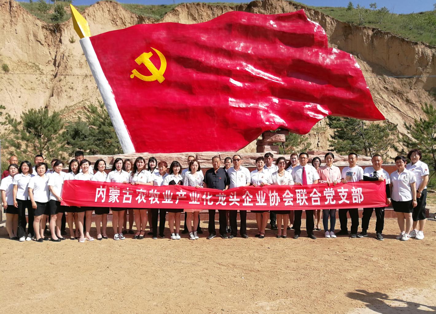 內(nèi)蒙古農(nóng)牧業(yè)產(chǎn)業(yè)化龍頭企業(yè)協(xié)會(huì)走進(jìn)石人灣村開展“辦實(shí)事、解難題，送溫暖，傳黨恩”公益活動(dòng)